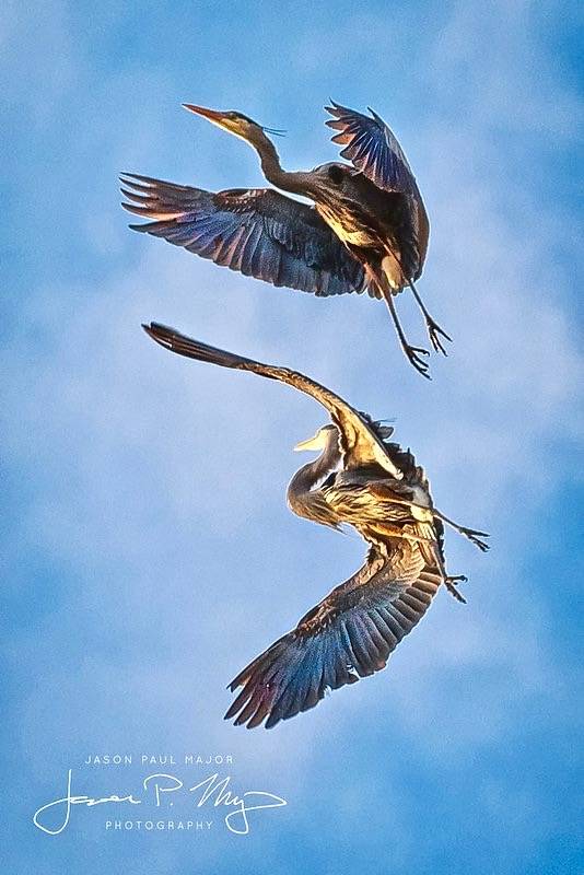 Jason Major (jpmajor@me.com)